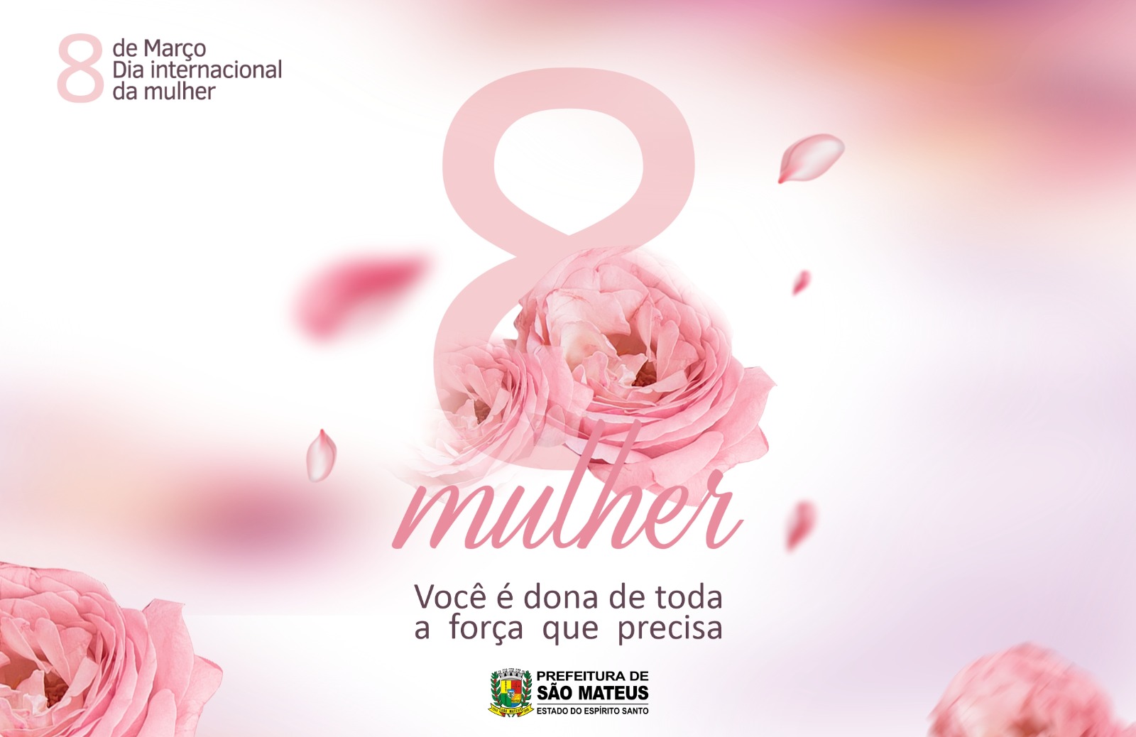 08 de Março de 2024 Dia Internacional da Mulher
