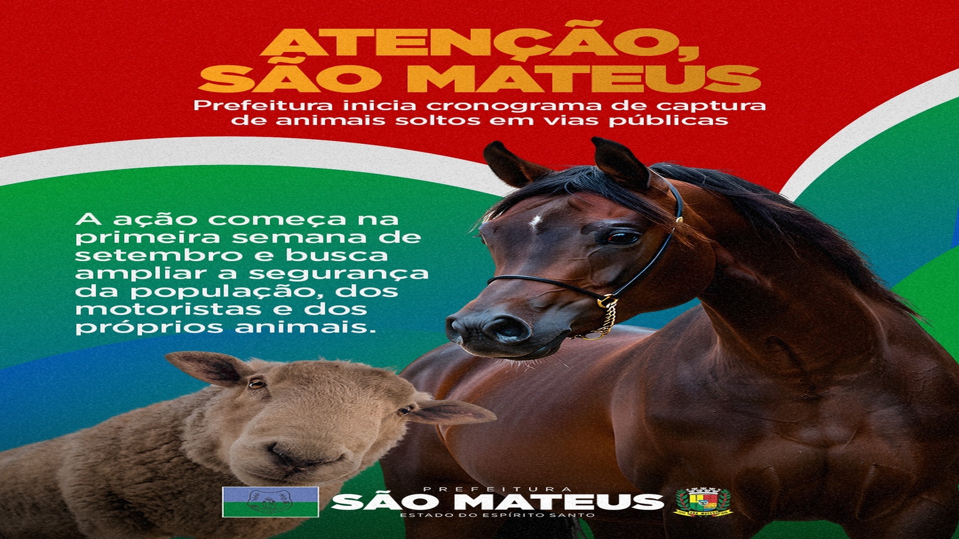 PREFEITURA INICIA CAPTURA DE ANIMAIS SOLTOS NAS RUAS