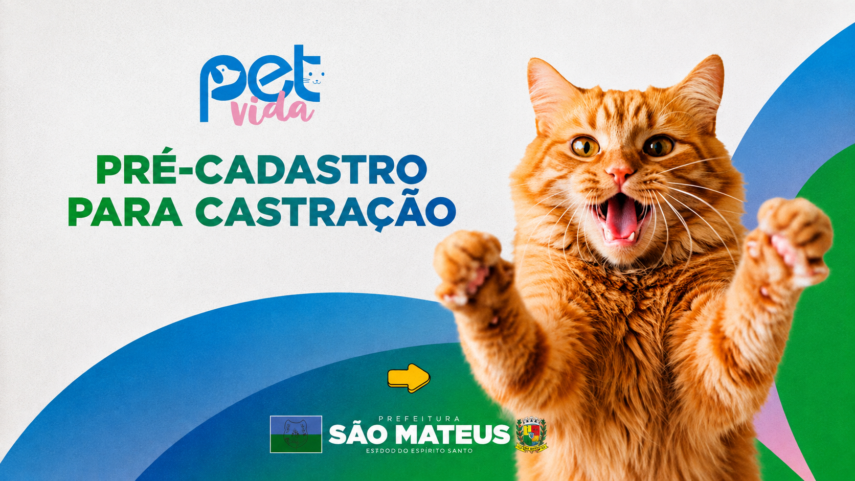 PET VIDA ABRE PRÉ-CADASTRO PARA CASTRAÇÃO DE CÃES E GATOS EM SÃO MATEUS
